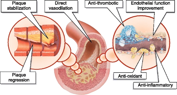 Fig. 2