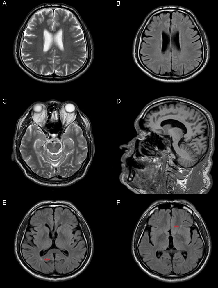 Figure 1