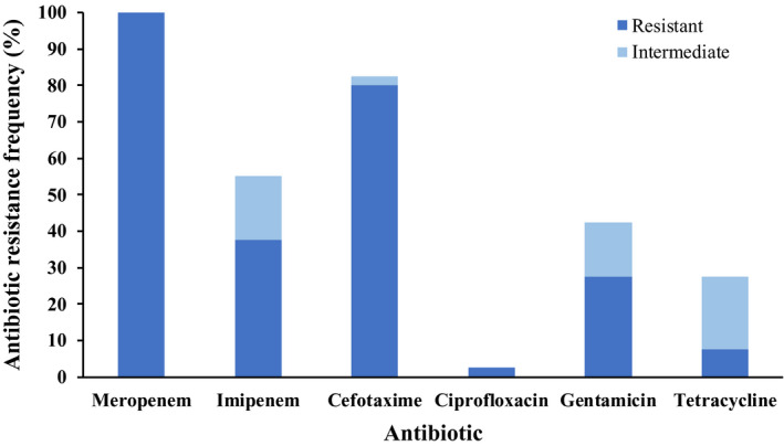 FIGURE 3