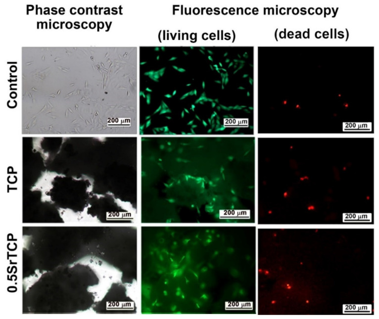 Figure 10