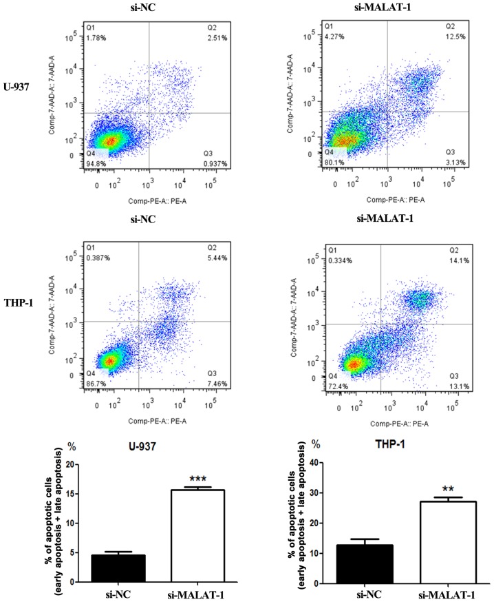 Figure 6.