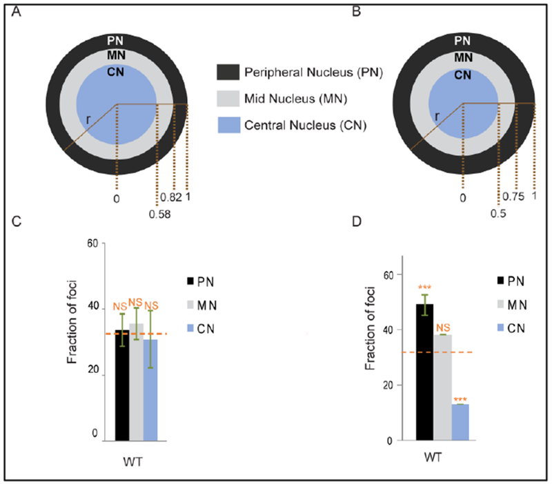 Fig.1