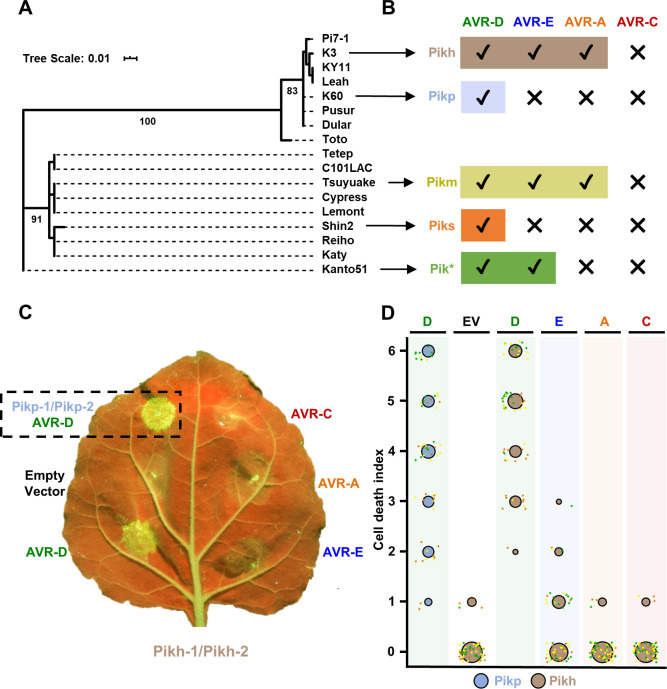 Fig 1