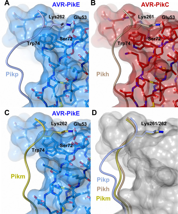 Fig 4