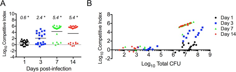 FIG 6