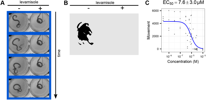 Fig. 6