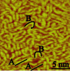 Fig. 4.