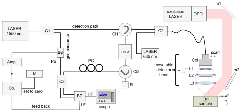 Fig. 1