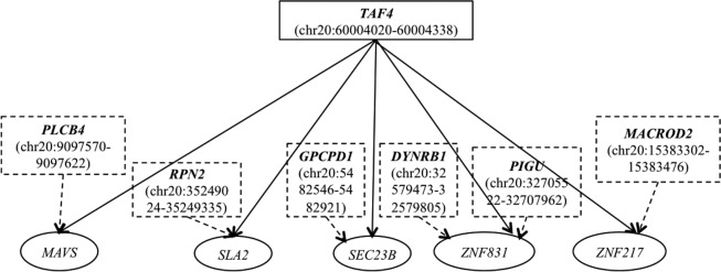 FIG. 6.