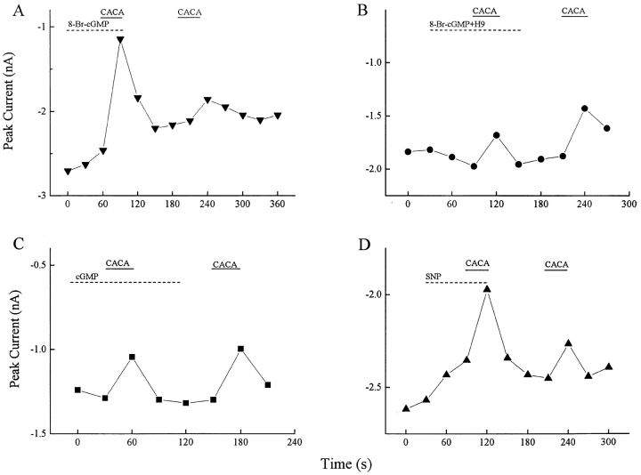 Figure 12