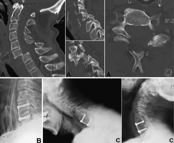 Fig. 7