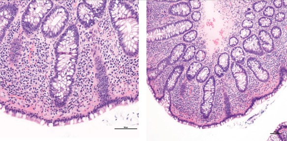 Figure 2)