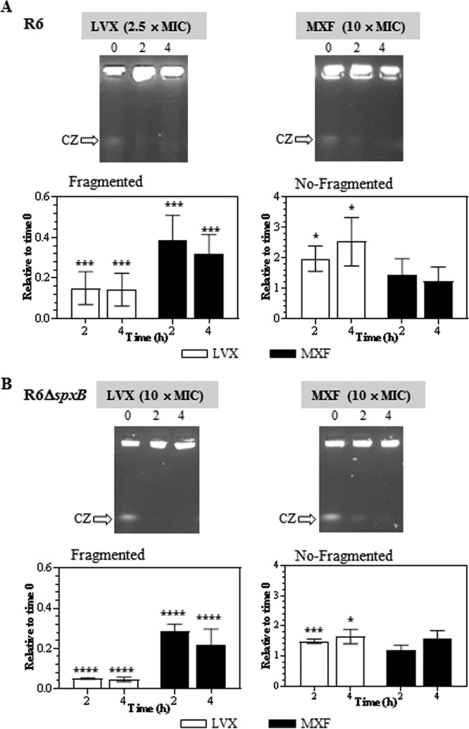 FIG 2