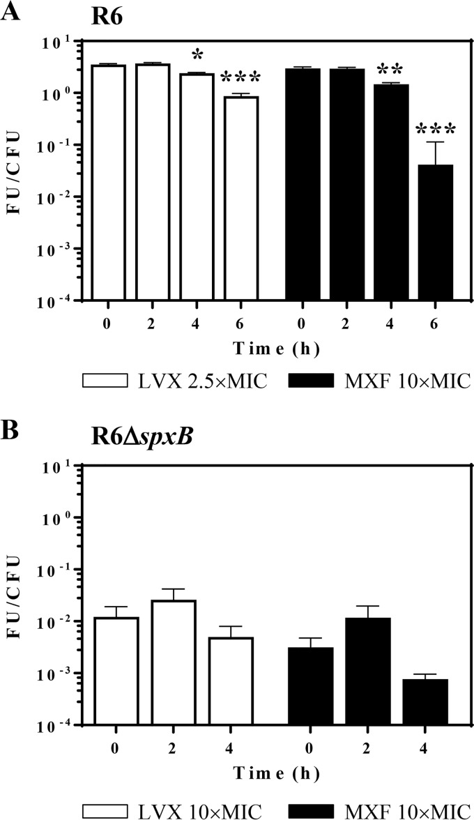 FIG 3