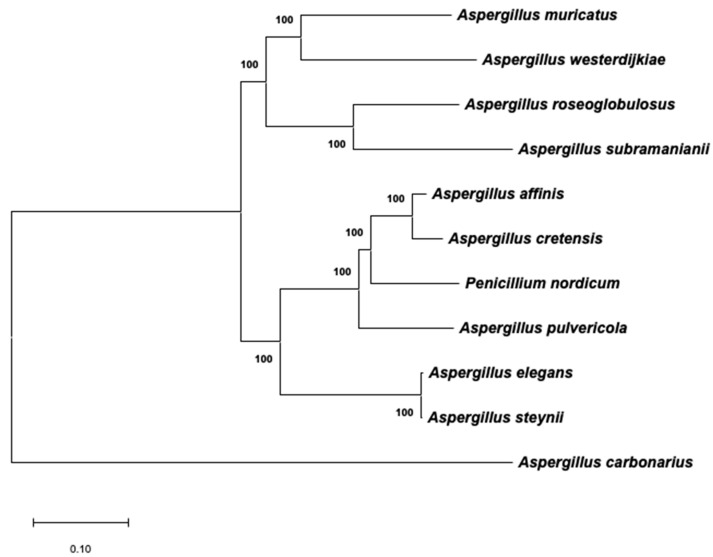 Figure 5