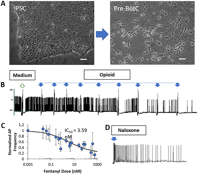 graphic file with name nihms-1930779-f0001.jpg