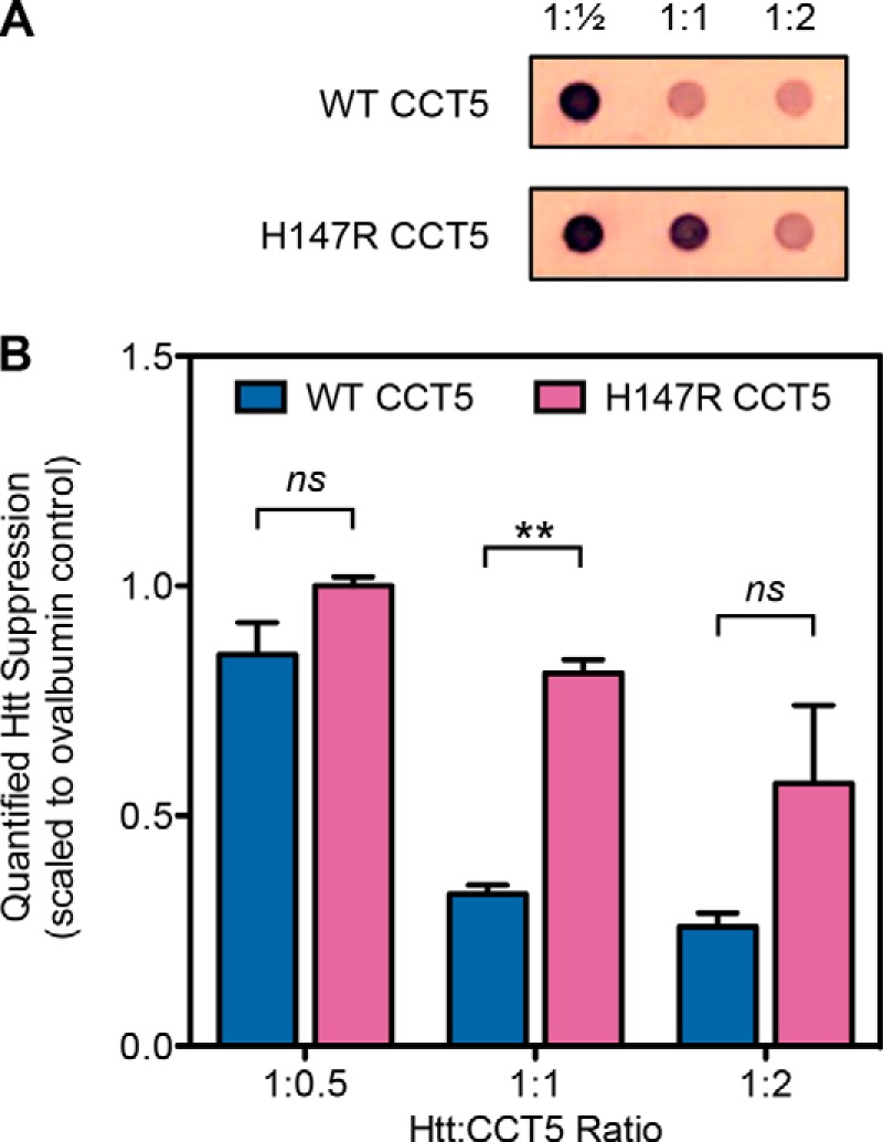 FIGURE 11.