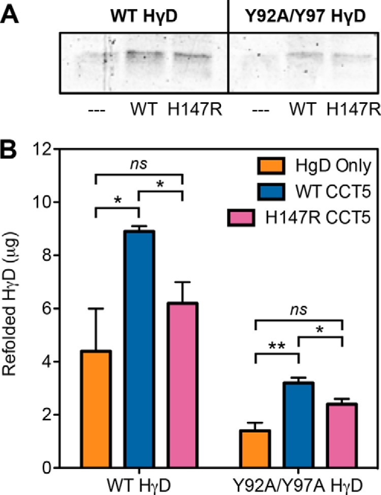 FIGURE 10.