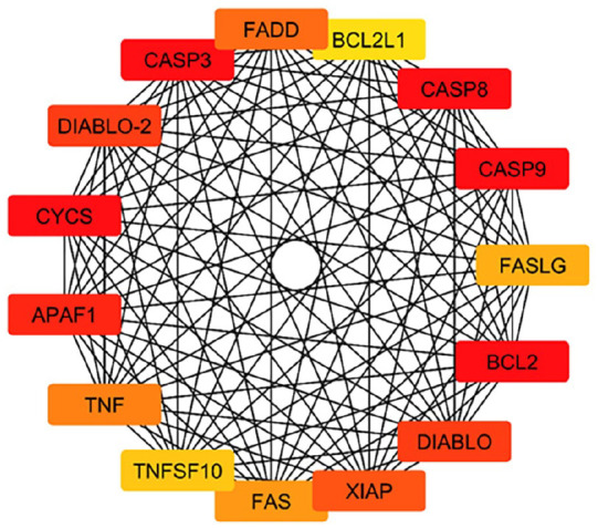 Figure 7.