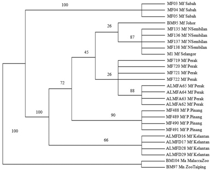 Figure 4.