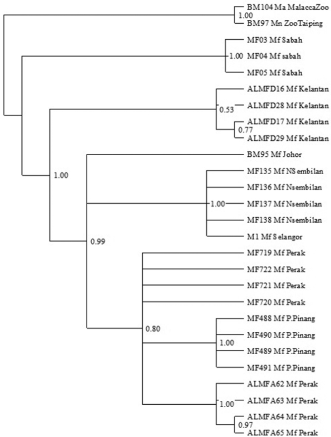 Figure 5.