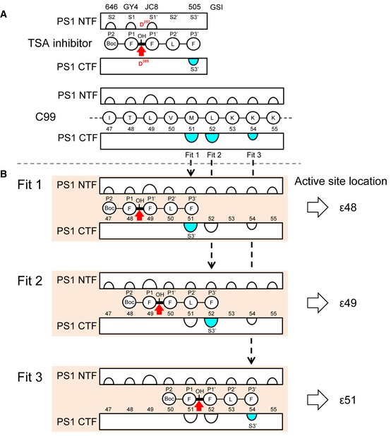 Figure EV3