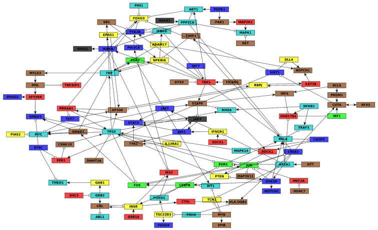 Figure 2