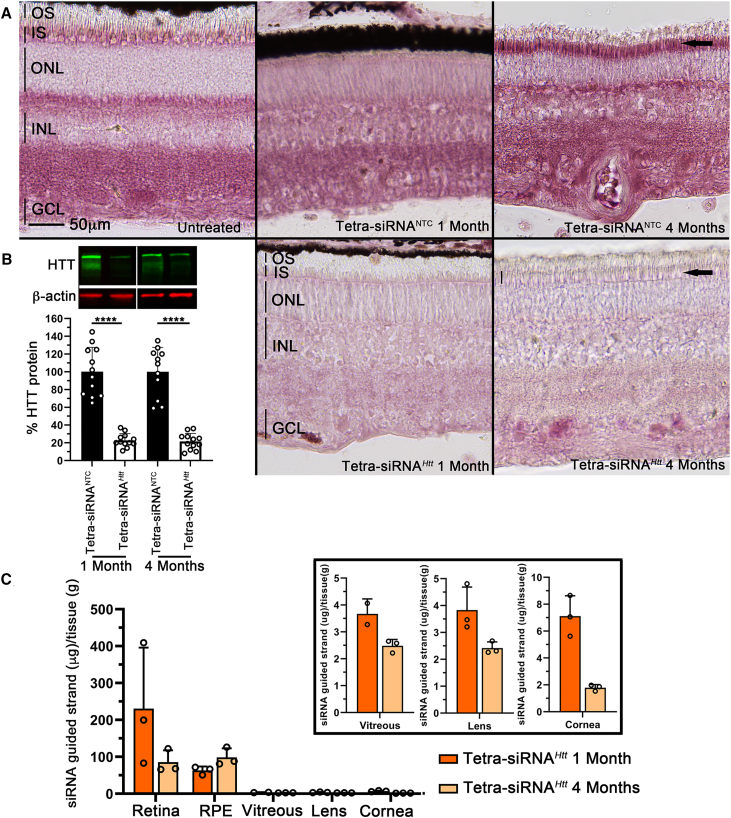 Figure 6