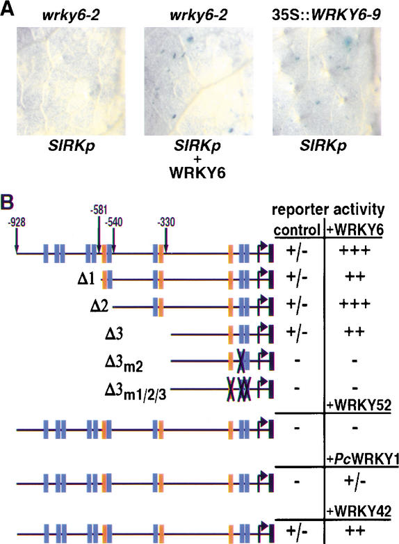 Figure 6