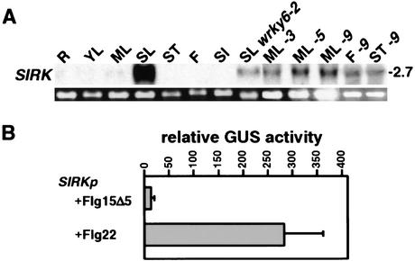 Figure 5