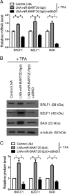 FIG 1