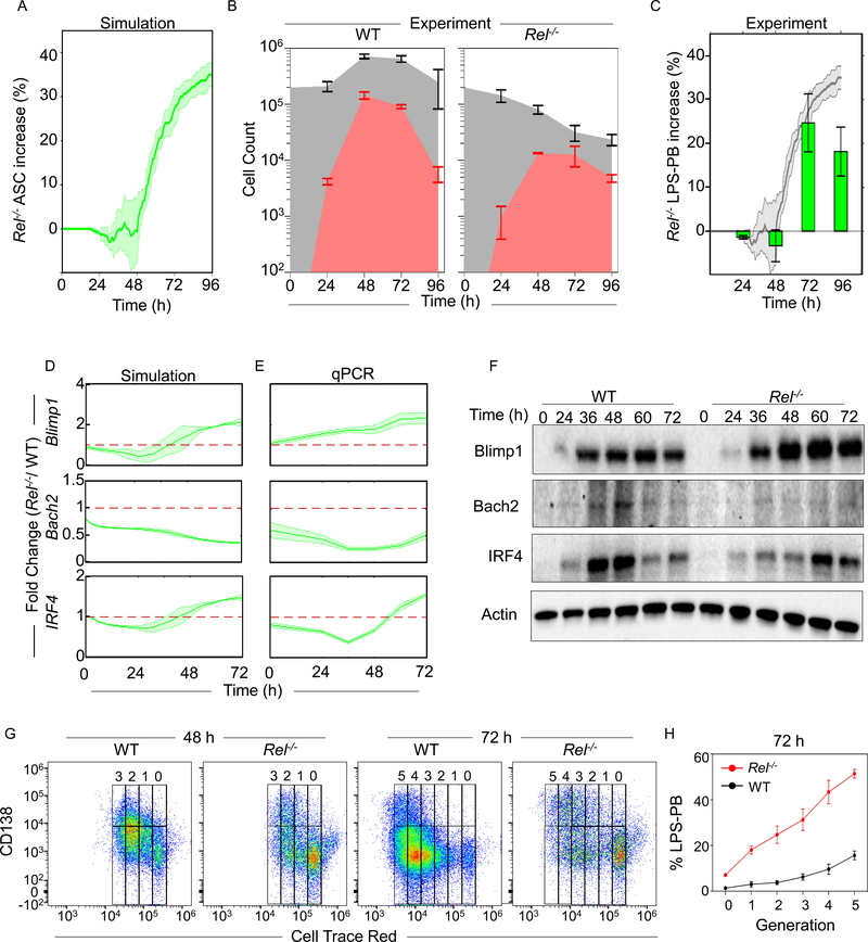 Figure 5: