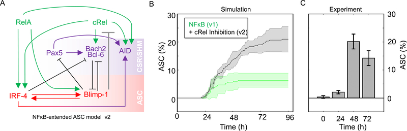 Figure 3: