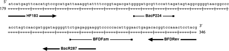 FIG 1