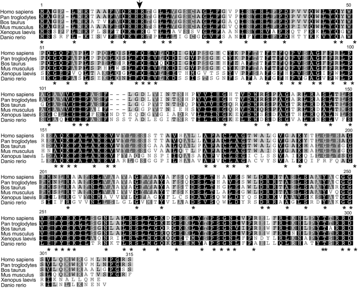 Supplementary Fig. 1