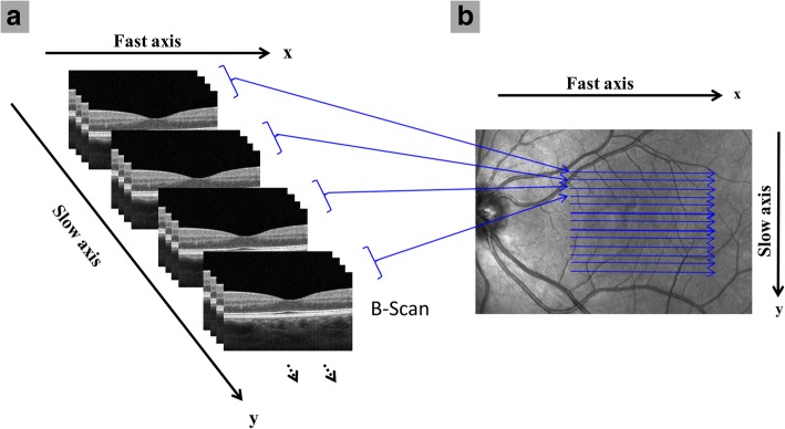 Fig. 2