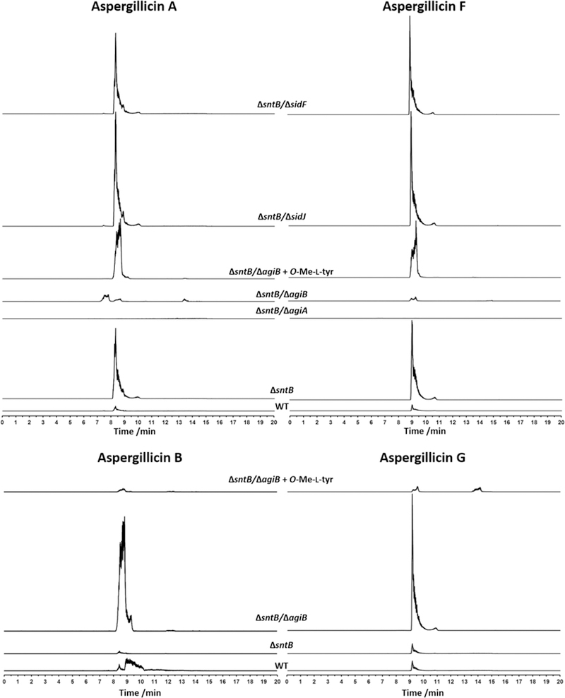 Figure 3.