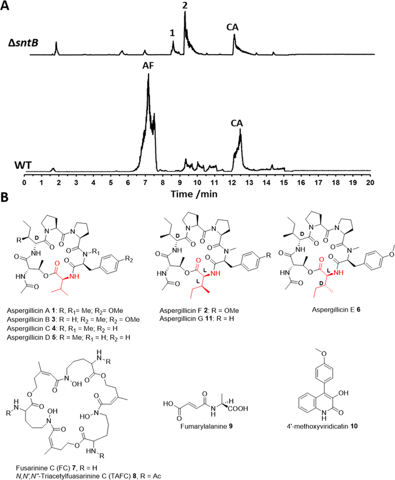 Figure 1.