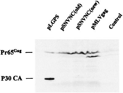 FIG. 3