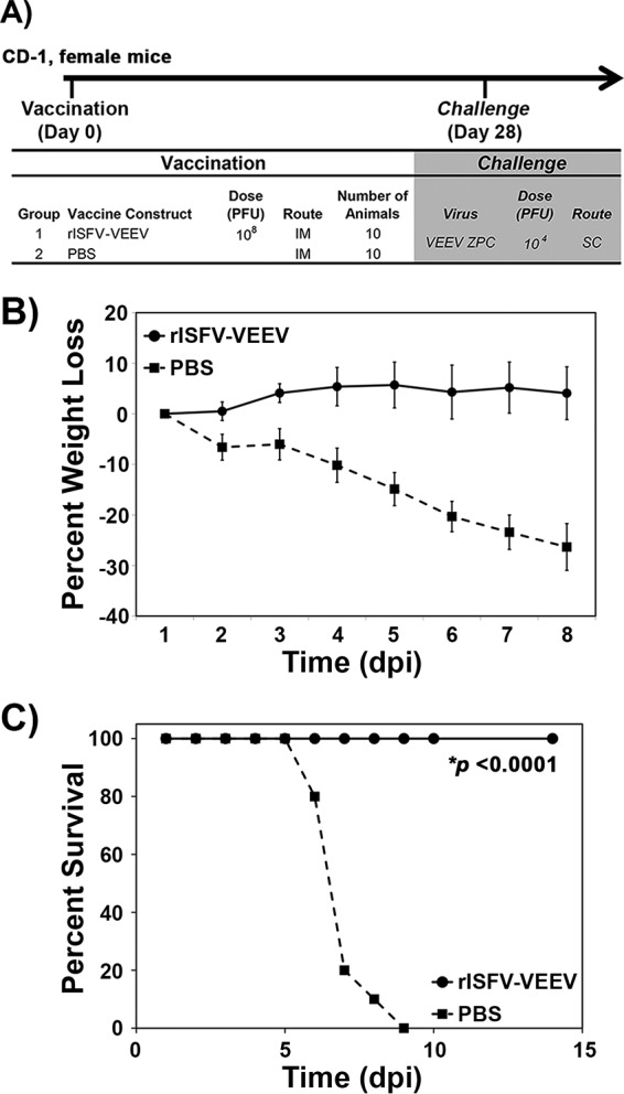 FIG 5