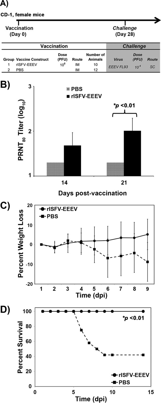 FIG 6