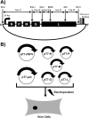 FIG 2