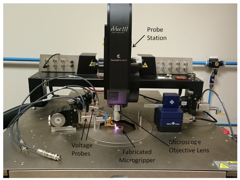 Figure 10