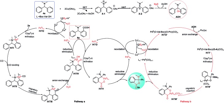 Scheme 6