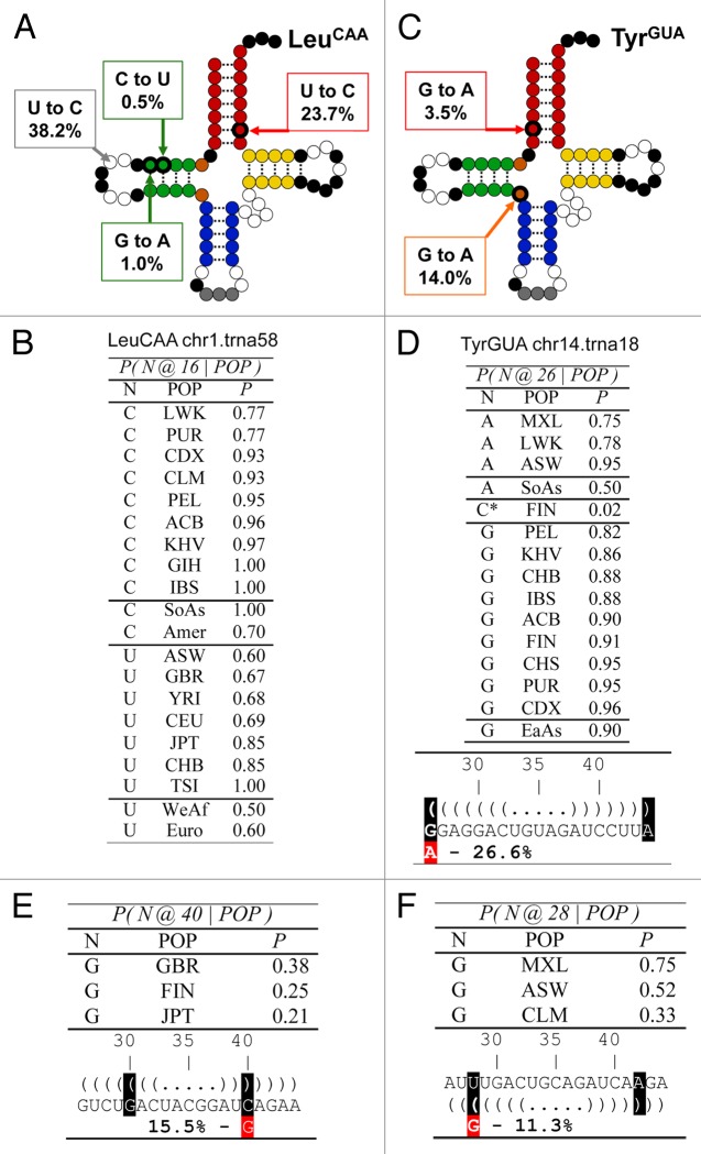 graphic file with name rna-10-1853-g3.jpg