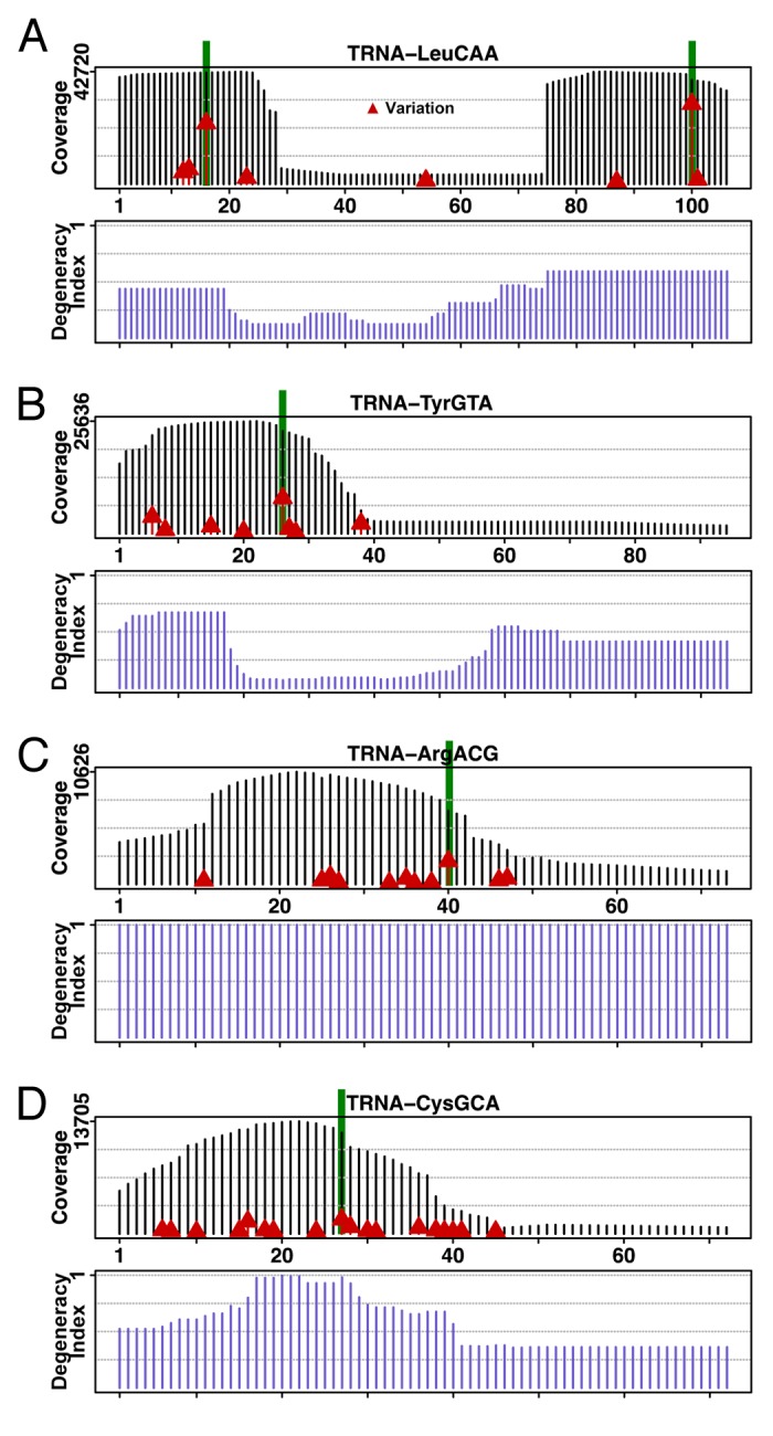 graphic file with name rna-10-1853-g1.jpg