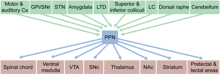 Figure 1: