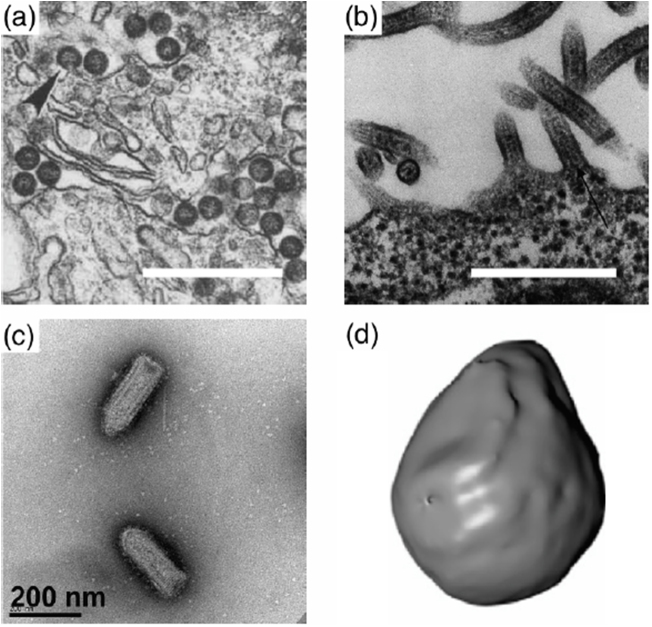 Figure 49.