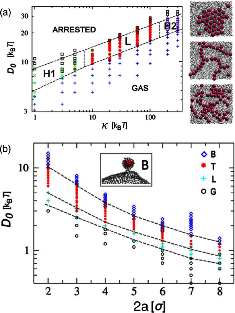 Figure 45.