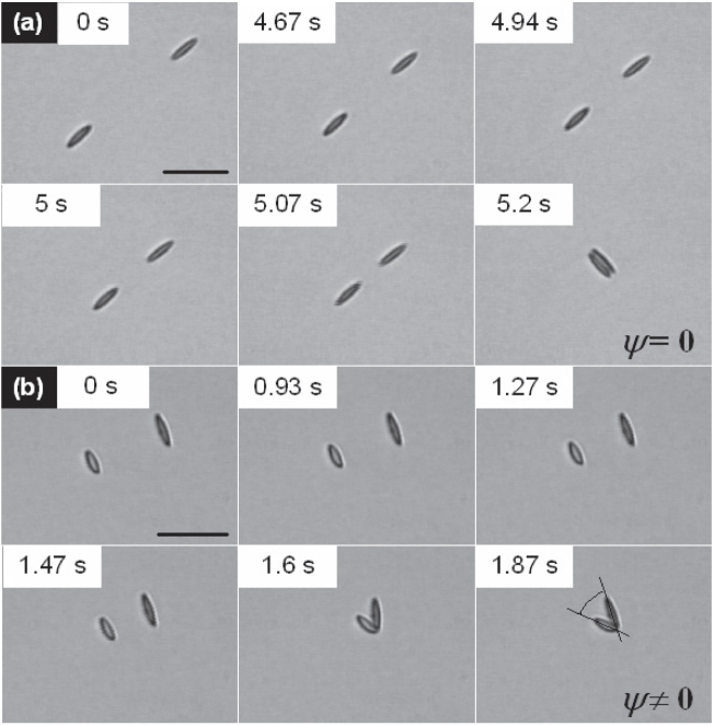 Figure 27.